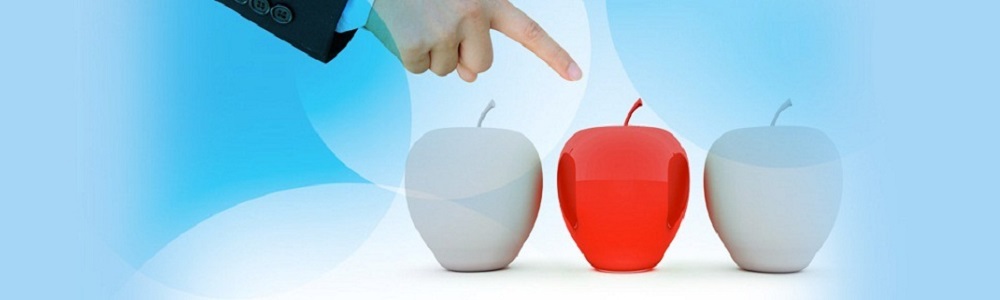 Our strength is number of ERP professionals in our network.